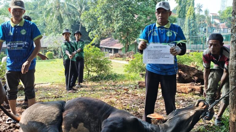 Pondok Pesantren At-Tawazun Laksanakan Pemotongan Hewan Kurban Selama Dua Hari